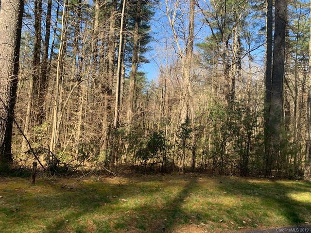 TBD Mountain Brook Trail - Photo 1
