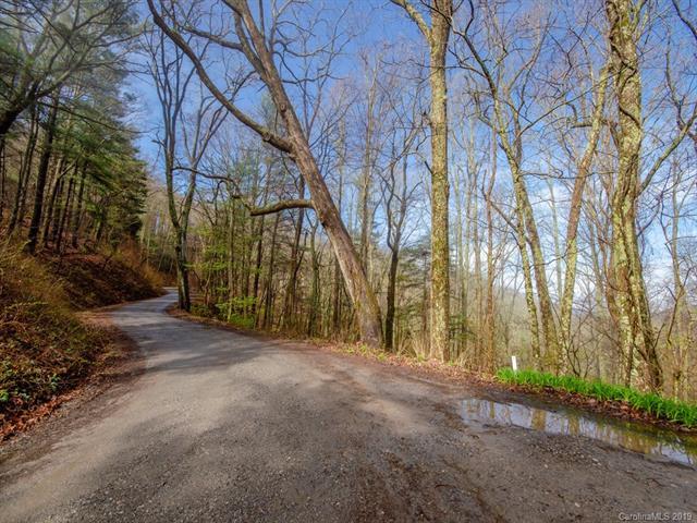 9999 Patton Mountain Road - Photo 1
