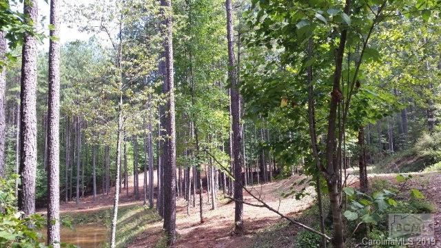 20 & 22 Pretty Creek Lane - Photo 1