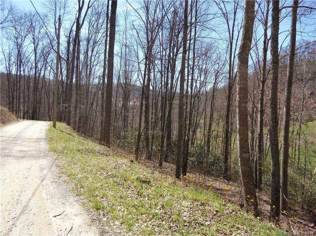 Lot 4 Liner Creek Road - Photo 1