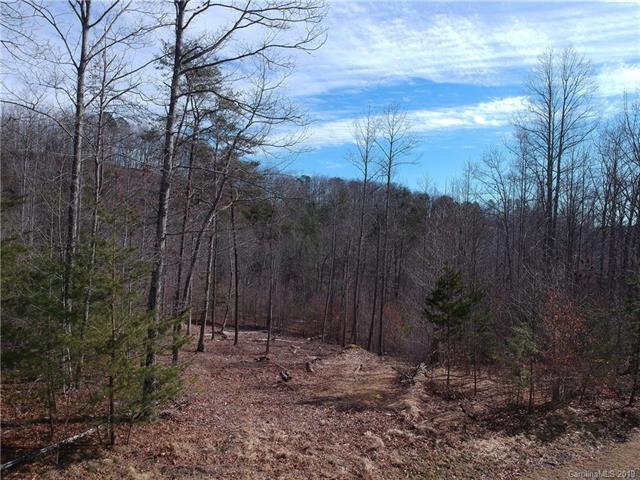 225 Red Fox Trail - Photo 1