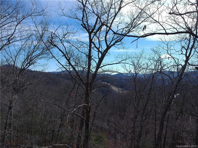 155 Turkey Trot Trail - Photo 1
