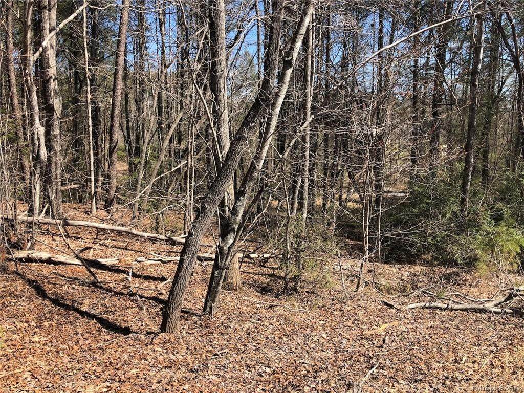 0000 Flat Branch Road - Photo 1 0000 Flat Branch Road - Photo 1