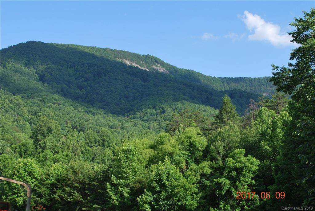 Lots 20 & 21 Hickory Nut Trace - Photo 1