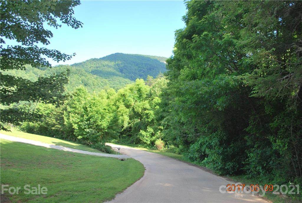 Lots 20 & 21 Hickory Nut Trace - Photo 1
