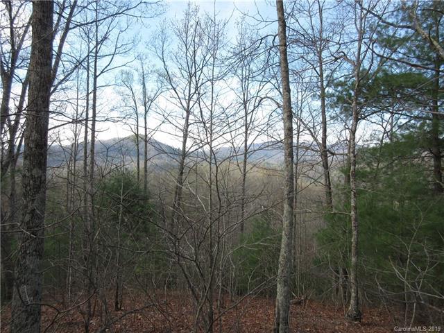 330 Raccoon Run - Photo 1