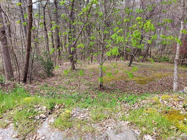 LOT 7 A Pumphouse Road - Photo 1