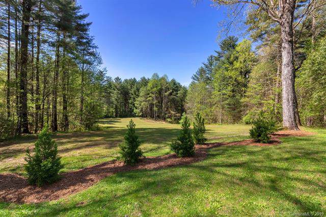 Tract 2 Deerwoode Lane - Photo 1