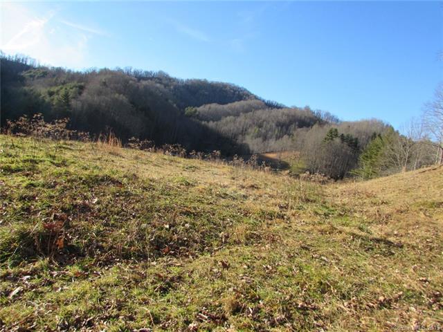 000 Lotties Creek Road - Photo 1