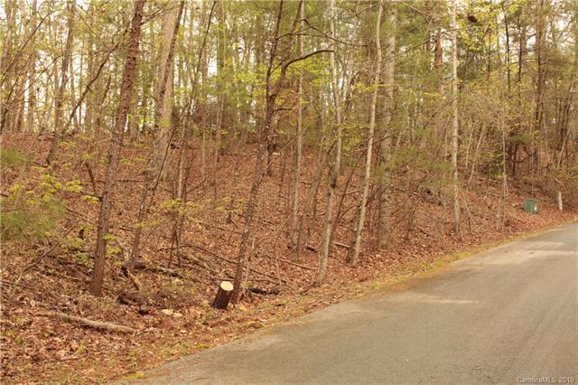 0 Leaf Point Drive - Photo 1