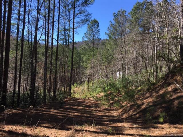 1407 Gold Creek Point - Photo 1