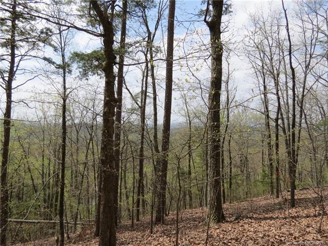 00 Mineral Springs Mountain Road - Photo 1