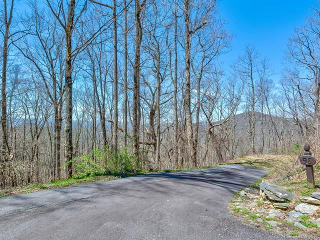 96 Castanea Mountain Drive - Photo 1