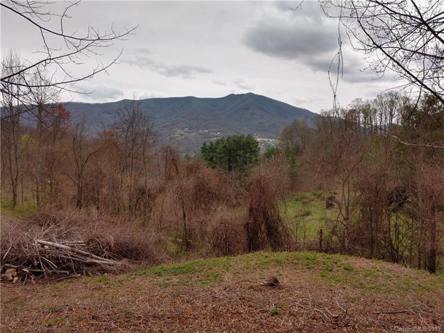 0000 Orion Davis Road - Photo 1