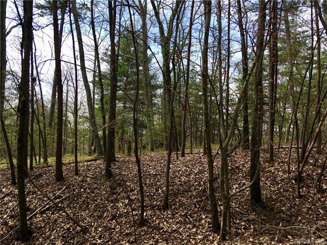 3376 Mallard Road - Photo 1