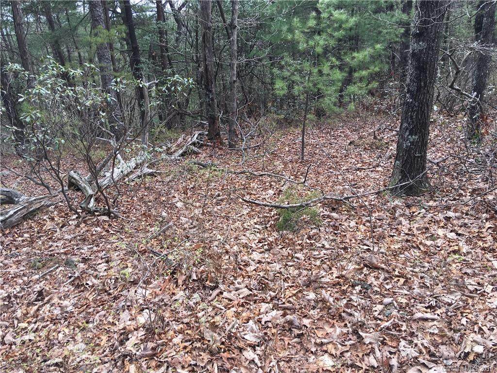 8315 Debbie Drive - Photo 1