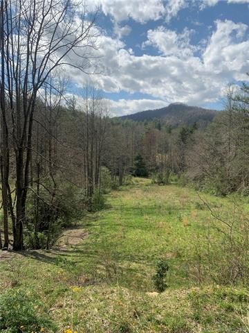 Lot 1 & 2 Bobs Creek Road - Photo 1