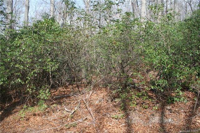 999 Nc 9 Highway - Photo 1