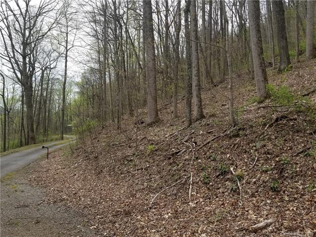 42 Simms Trail - Photo 1