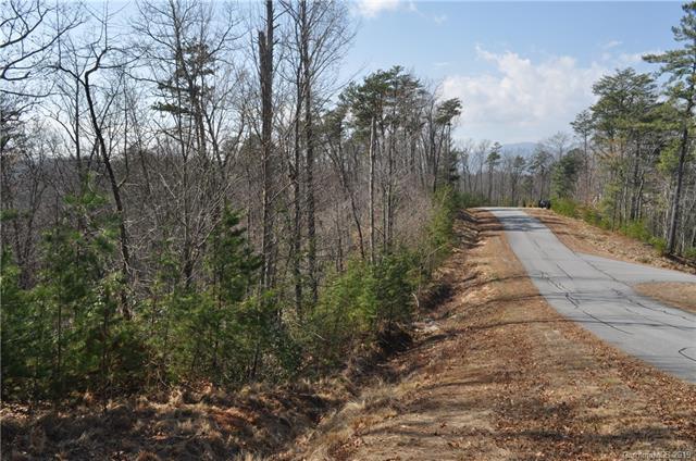 V/L Bald Eagle Lane - Photo 1
