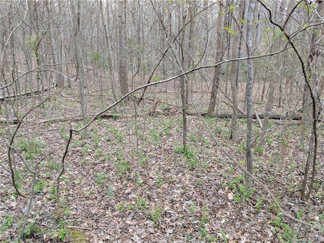 00 Peniel Road - Photo 1