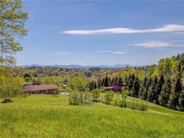 4415 Bear Creek Road - Photo 1