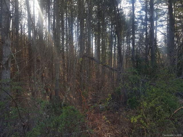 TBD Horned Owl Lane - Photo 1