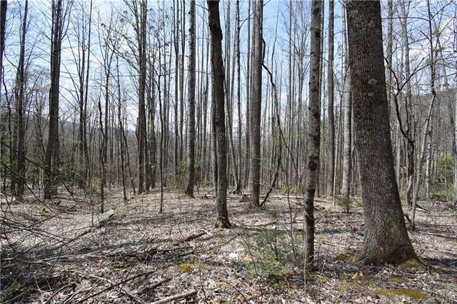 4&5 Rustic Road - Photo 1