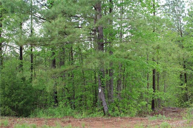 518 Harvest Moon Lane - Photo 1