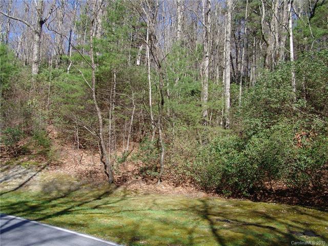 Lot 101 Hawk Mountain Road - Photo 1