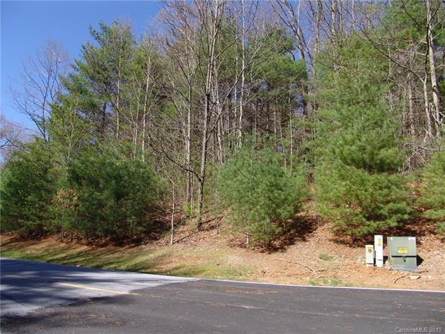 Lot 102 Hawk Mountain Road - Photo 1