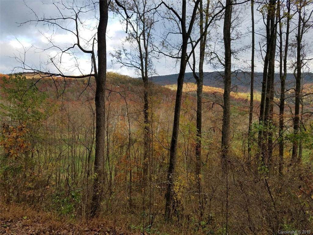 lot 17 Blue Ridge Drive - Photo 1