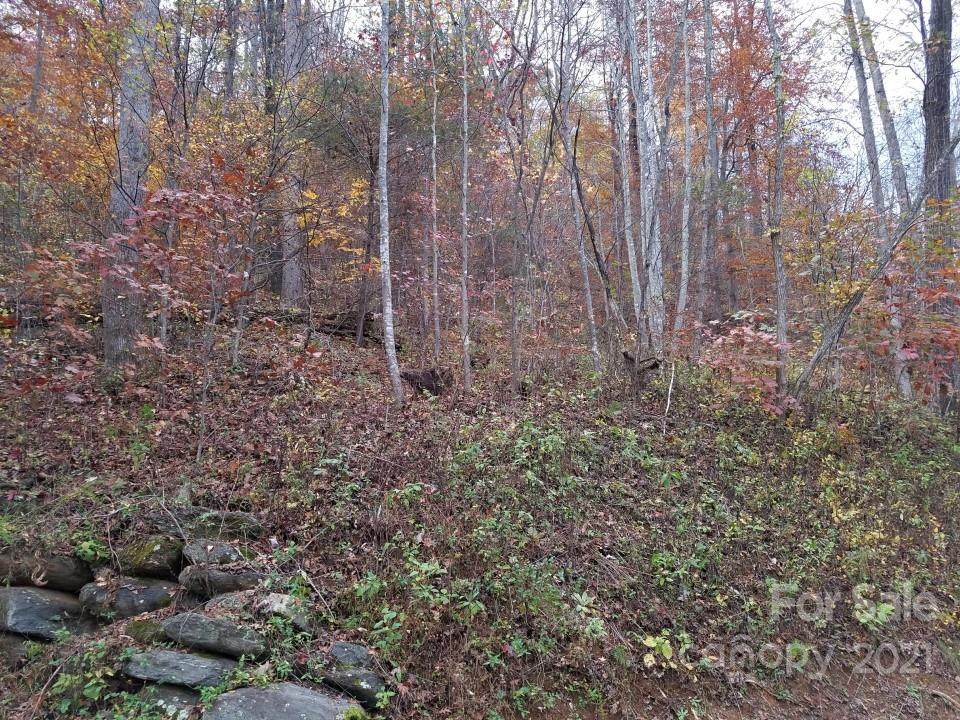 lot 17 Blue Ridge Drive - Photo 1