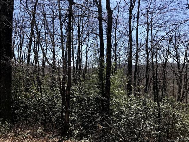 TBD Line Runner Lake Road - Photo 1