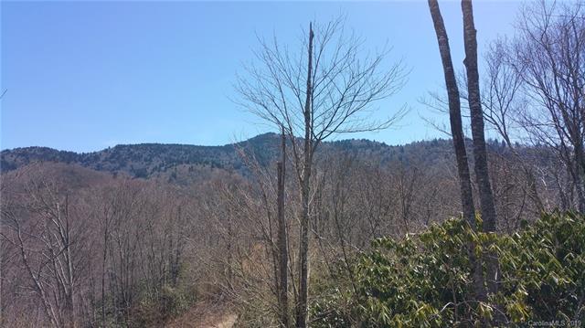 LOT 66 Green Mountain Road - Photo 1