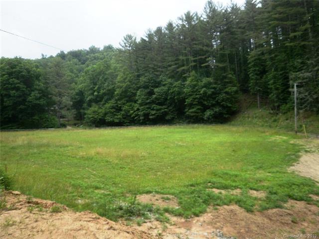 00 Blanton Branch Road - Photo 1