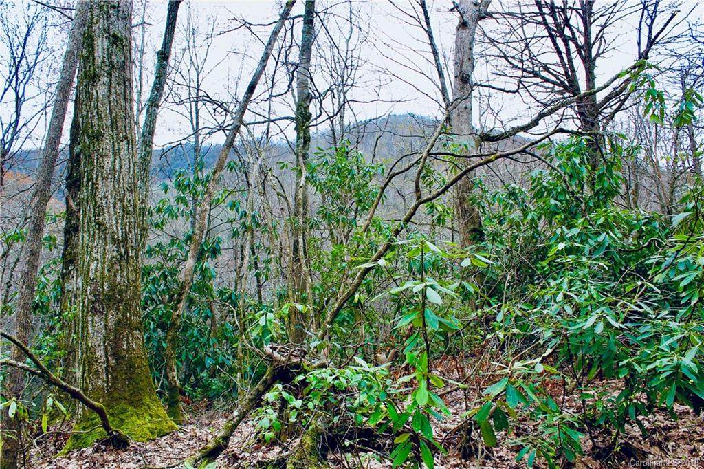 Lot #27 Huckleberry Drive - Photo 1