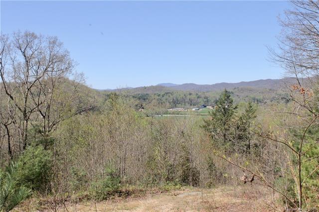 Off Poplar Gap Road - Photo 1