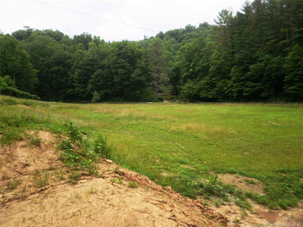 00 Blanton Branch Road - Photo 1