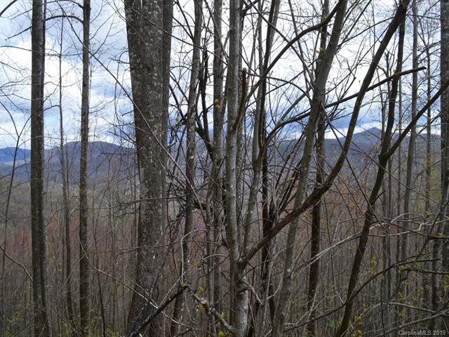 LOT 28 Bald Eagle Drive - Photo 1