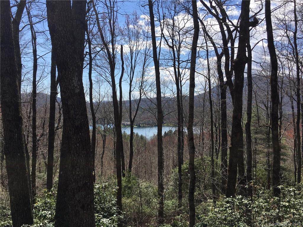 0 Hawk Mountain Road - Photo 1