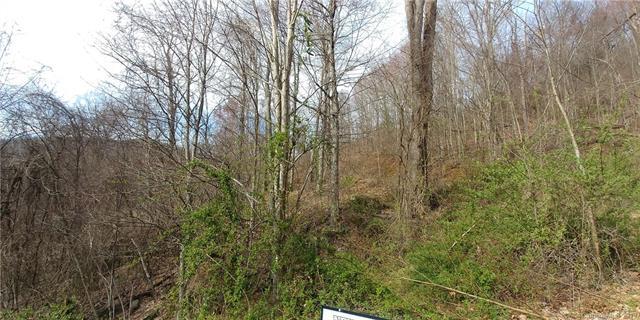 9999 Tortoise Lane - Photo 1