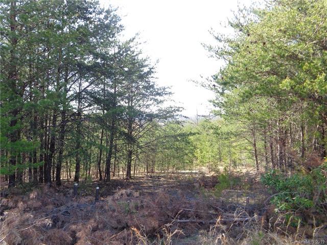 5989 Luke Short Road - Photo 1