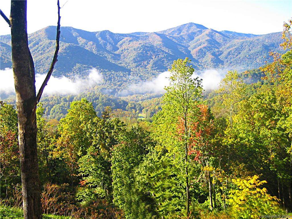 Lot 2 Big Boulder Ridge - Photo 1