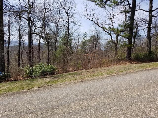 71 & 117 Sahalee Trail - Photo 1