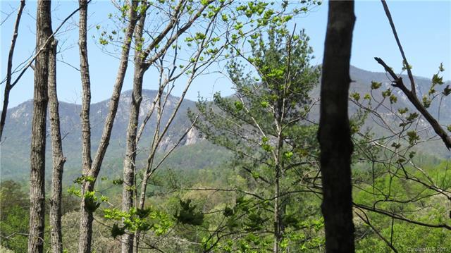 Lot 104 Roadrunner Circle - Photo 1