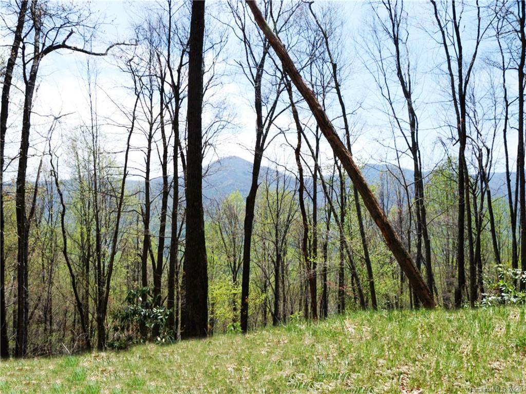 Lot 10 Big Boulder Ridge - Photo 1