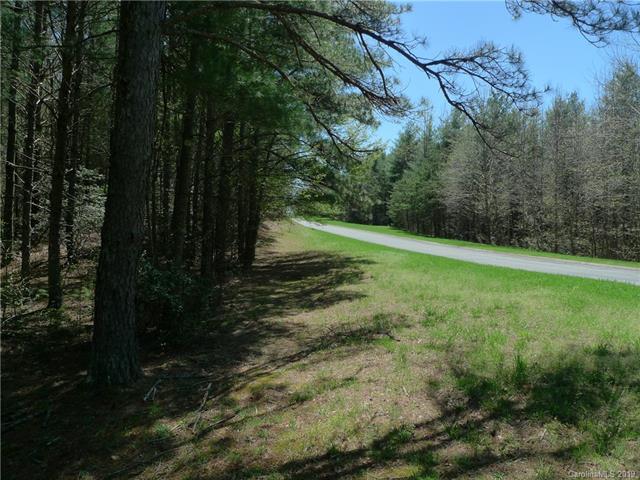 171 Big Tree Way - Photo 1