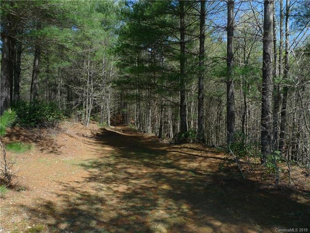 129 Big Tree Way - Photo 1