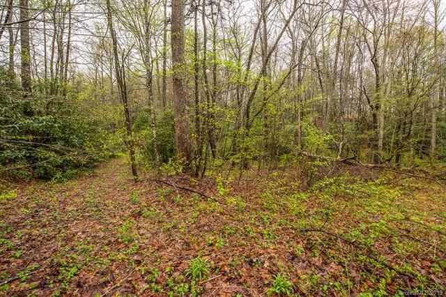 000 Mountain Laurel Lane - Photo 1